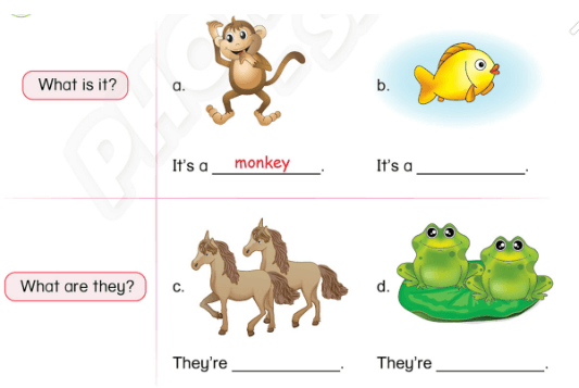 Sách bài tập Tiếng Anh lớp 3 Phonics Smart Unit 12: The bird can fly