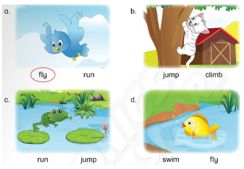 Sách bài tập Tiếng Anh lớp 3 Phonics Smart Unit 12: The bird can fly