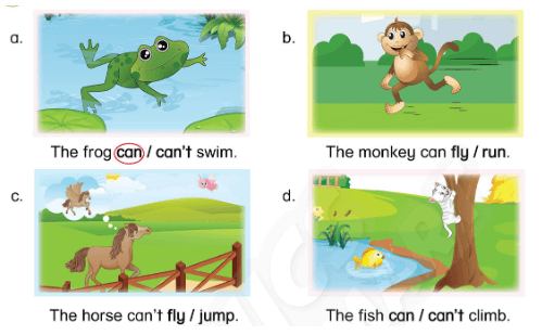 Sách bài tập Tiếng Anh lớp 3 Phonics Smart Unit 12: The bird can fly