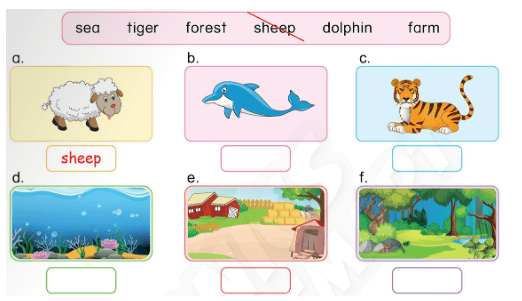 Sách bài tập Tiếng Anh lớp 3 Phonics Smart Unit 12: The bird can fly