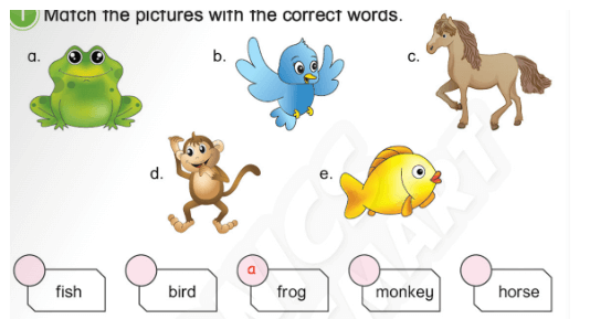 Sách bài tập Tiếng Anh lớp 3 Phonics Smart Unit 12: The bird can fly