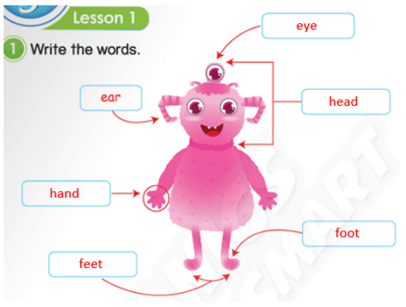 Sách bài tập Tiếng Anh lớp 3 Phonics Smart Unit 3: He has got blue eyes