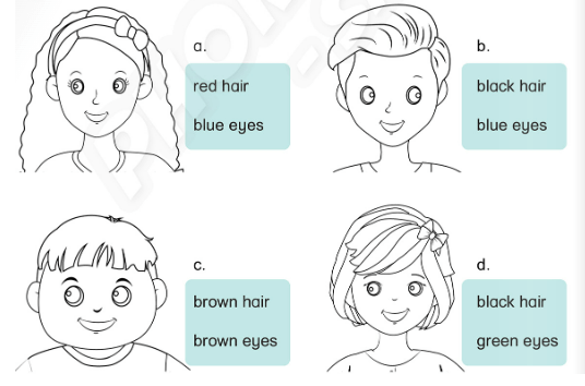 Sách bài tập Tiếng Anh lớp 3 Phonics Smart Unit 3: He has got blue eyes