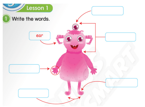 Sách bài tập Tiếng Anh lớp 3 Phonics Smart Unit 3: He has got blue eyes