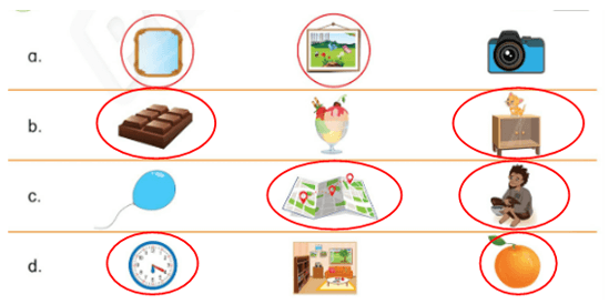 Sách bài tập Tiếng Anh lớp 3 Phonics Smart Unit 6: I like chicken