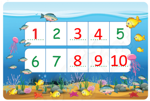 Sách bài tập Tiếng Anh lớp 3 Phonics Smart Welcome