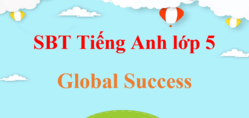 Sách bài tập Tiếng Anh lớp 5 Global Success | Giải SBT Tiếng Anh 5 (hay, chi tiết)