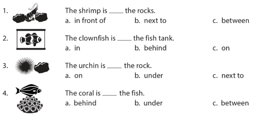 SBT Tiếng Anh 6 Explore English Unit 3 Language Focus: Extra Practice (trang 24)