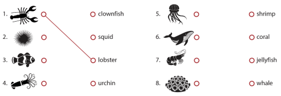 SBT Tiếng Anh 6 Explore English Unit 3 Vocabulary Focus: Extension (trang 23)