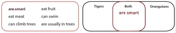 SBT Tiếng Anh 6 Explore English Unit 7 Reading (trang 49)