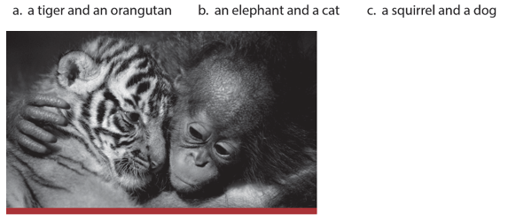 SBT Tiếng Anh 6 Explore English Unit 7 Reading (trang 49)
