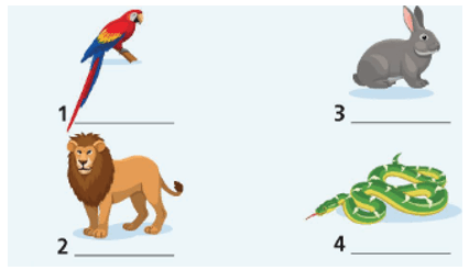 SBT Tiếng Anh 6 Right on Revision (Units 4 - 5)