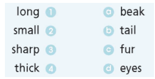 SBT Tiếng Anh 6 Right on Revision (Units 4 - 5)