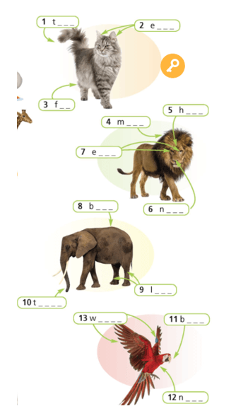 SBT Tiếng Anh 6 Right on Unit 5c Vocabulary (trang 46)