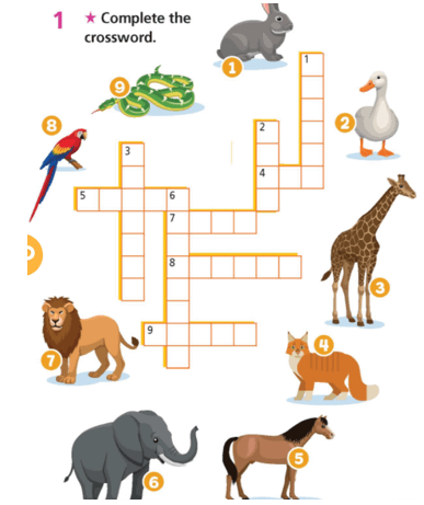 SBT Tiếng Anh 6 Right on Unit 5c Vocabulary (trang 46)