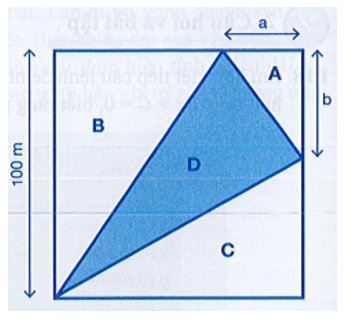 Một mảnh đất hình vuông có cạnh là 100 m. Hãy lập trình nhập vào giá trị hai biến a, b 
