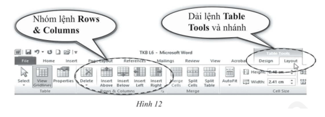Dải lệnh Table Tools và nhánh Layout như trong hình KHÔNG xuất hiện ở những phương án nào