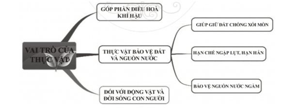 Em hãy tóm tắt vai trò của thực vật đối với môi trường thiên nhiên và đời sống