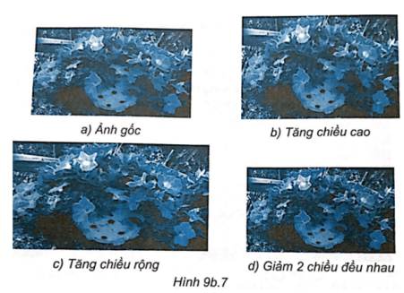 Thực hành: Sử dụng phần mềm chỉnh sửa ảnh để thay đổi kích thước ảnh gốc