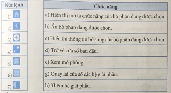 Ghép mỗi nút lệnh trong phần mềm Anatomy ở cột bên trái với một chức năng ở cột bên phải cho phù hợp