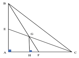 Cho tam giác ABC vuông cân tại A có AB = AC = 30 cm