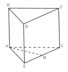 Cho hình lăng trụ ABC.A’B’C’ có ABC là tam giác đều và ABB’A’ là hình chữ nhật