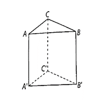 Cho hình lăng trụ tam giác ABC.A'B'C' có AA' vuông góc