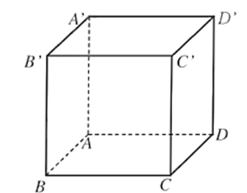 Cho hình hộp ABCD.A'B'C'D'. Phát biểu nào sau đây là đúng?