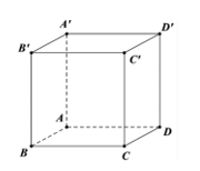 Cho hình lập phương ABCD.A'B'C'D' có độ dài mỗi cạnh bằng 2