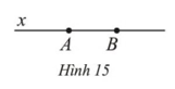 Cho đường thẳng x đi qua hai điểm A, B (Hình 15) (ảnh 1)