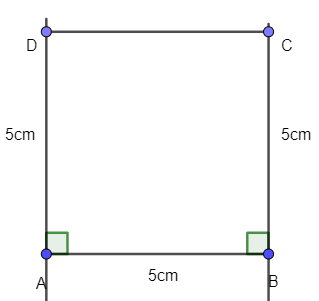 Sách bài tập Toán lớp 6 Bài 1. Hình vuông - Tam giác đều - Lục giác đều | Giải SBT Toán 6 Chân trời sáng tạo