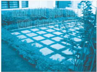 Một người dự định lát đá và trồng cỏ xen kẽ cho sân của một ngôi nhà