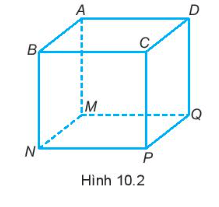Gọi tên các đỉnh, cạnh, đường chéo, mặt của hình lập phương trong Hình 10.2