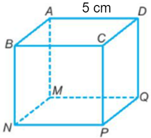 Thể tích hình lập phương có cạnh dài 5 cm là