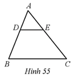 Cho tam giác ABC có DE // BC (Hình 55)