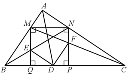 Cho tam giác ABC vuông tại A, có đường phân giác AD. Vẽ hình vuông MNPQ ở đó M