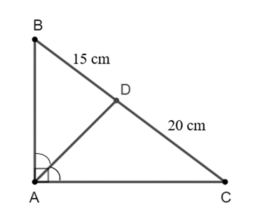 Cho tam giác ABC vuông tại A. Tia phân giác của góc BAC cắt BC tại D