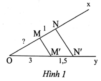 Quan sát Hình 1. Biết MN = 1 cm, MM' // NN', OM' = 3 cm, MM' = 1,5 cm