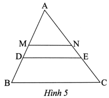 Trong Hình 5, cho biết MN là đường trung bình của tam giác ABC