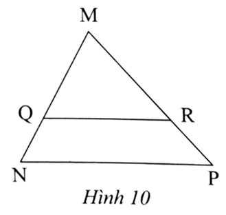 Trong Hình 10, cho biết QR // NP và MQ = 10 cm, QN = 5 cm, RP = 6 cm