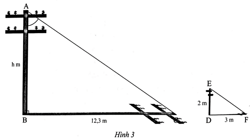 Tính chiều cao cột điện AB trong Hình 3