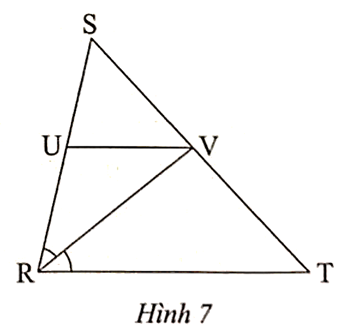 Trong Hình 7, cho biết RV là tia phân giác của góc SRT và UV // RT