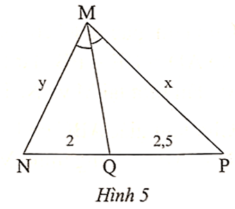 Trong Hình 5 có MQ là tia phân giác của góc NMP. Tỉ số x/y là