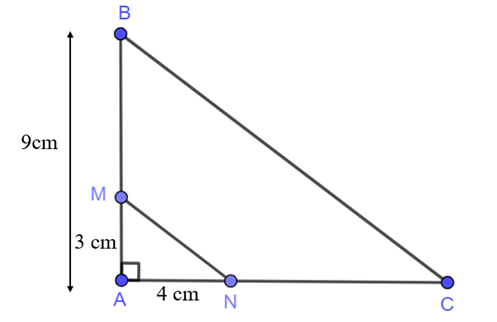 Cho tam giác ABC vuông tại A và MN // BC (M thuộc AB; N thuộc AC)