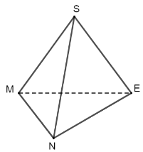 Cho hình chóp tam giác đều S.MNE có cạnh bên SM = 10 cm và cạnh đáy MN = 5 cm