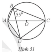 Cho các điểm A, B, C, D thuộc đường tròn tâm O đường kính AC = 2 cm với  góc CBD = 55 độ (Hình 51)