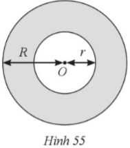 Cho hình vành khuyên giới hạn bởi hai đường tròn (O; R), (O; r) với R + r = 1,2 dm