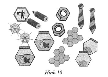 Các hình phẳng đều có trong Hình 10 cho ta hình ảnh của đa giác đều nào