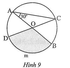 Cho đường tròn (O) đường kính AB = 3 cm, góc CAB = 30 độ (Hình 9). Tính độ dài cung BmD