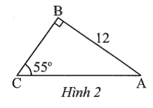 Độ dài cạnh BC trong Hình 2 kết quả làm tròn đến hàng phần trăm là